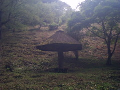 2015/09/05_美の山公園のキノコ（?）