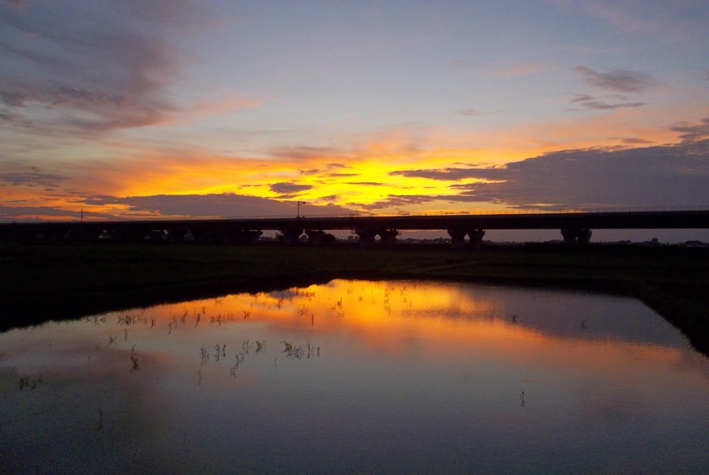 2015/07/19_水田の夕暮れ
