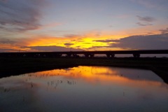 2015/07/19_水田の夕暮れ