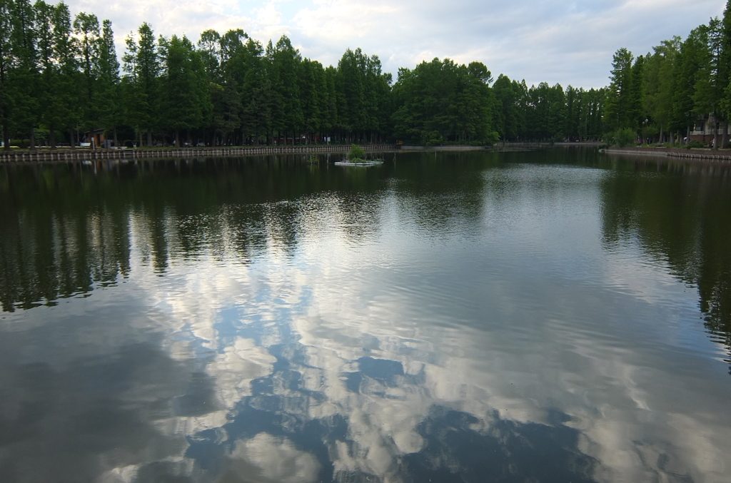 2014/05/18_別所沼公園