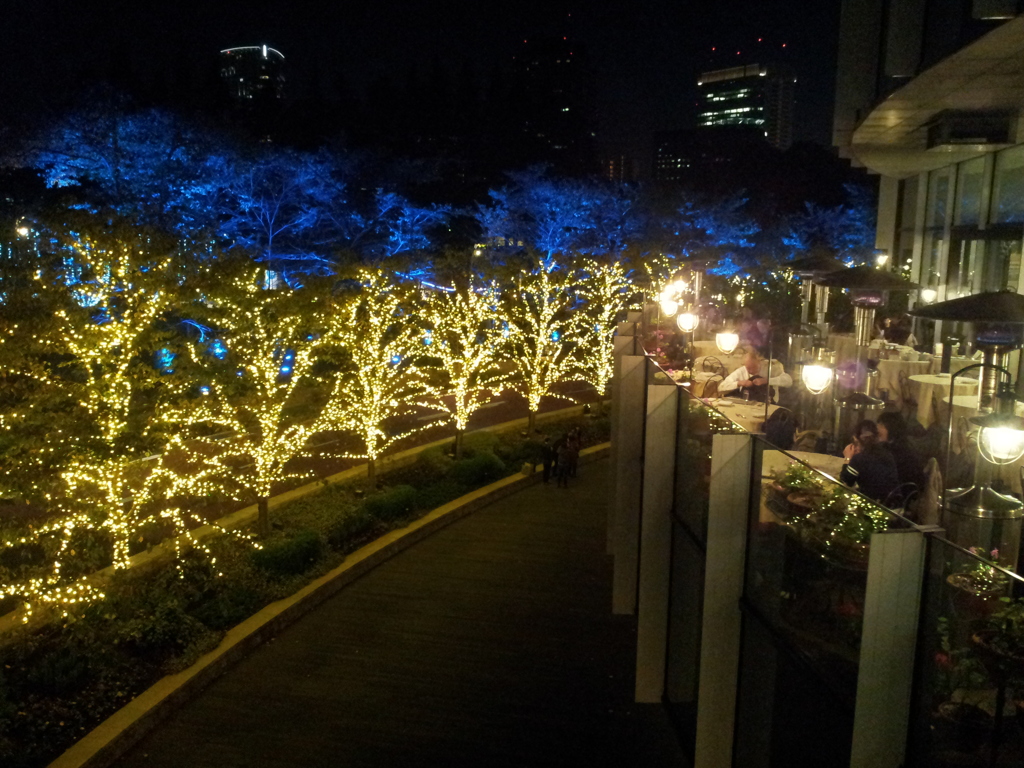 2013/11/16_夜の東京ミッドタウン