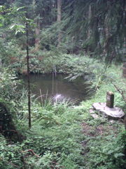 2015/09/05_龍神之池