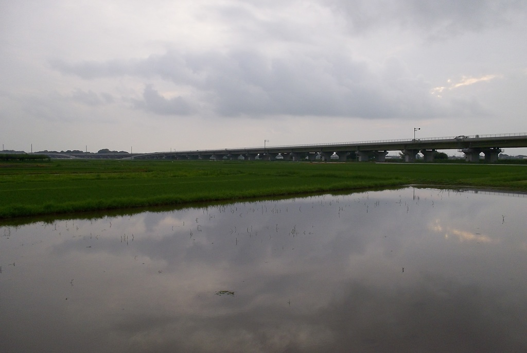 2015/07/05_水田に曇天