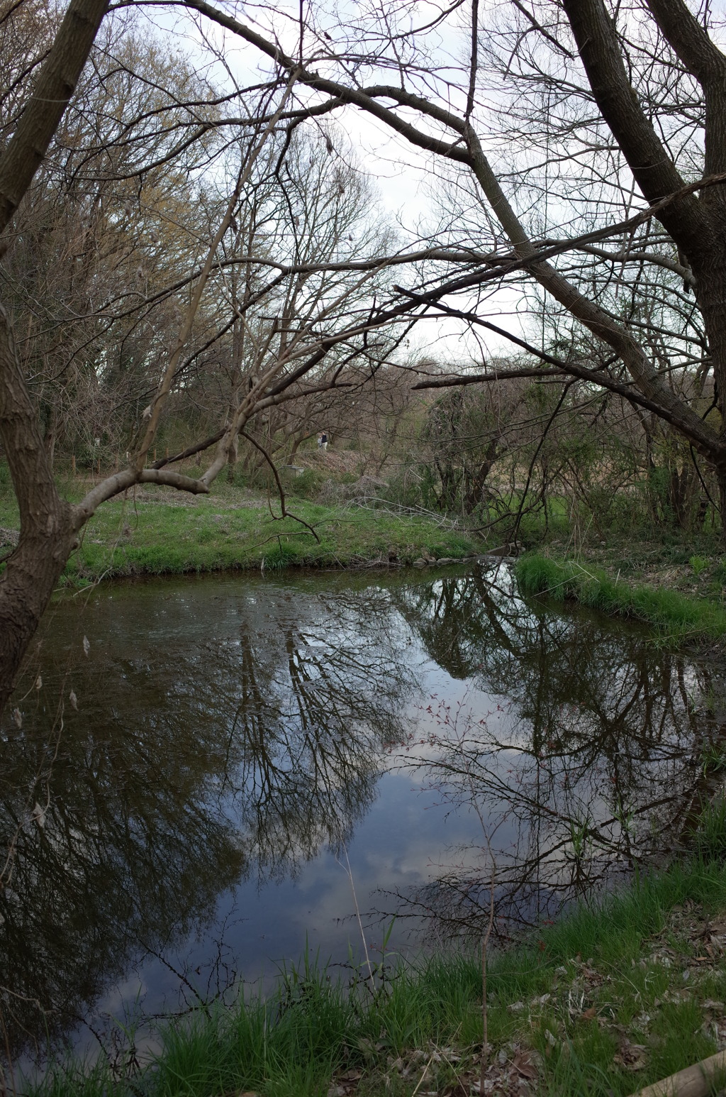 2016/03/26_北本自然観察公園