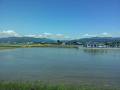 2017/05/18_武生〜福井間の車窓風景