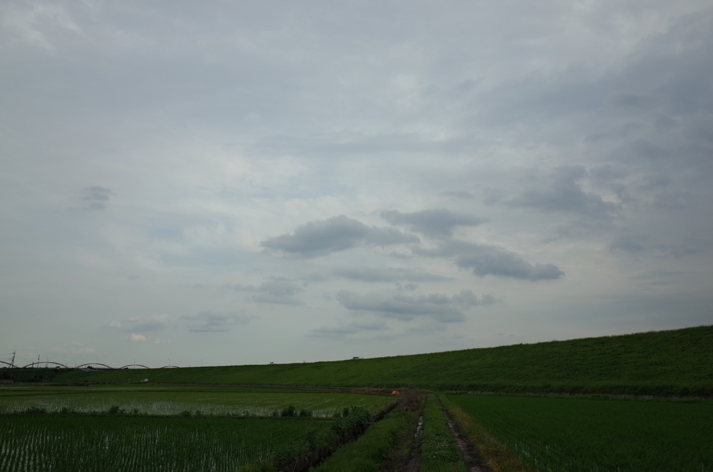 2015/06/20_曇天の荒川堤防