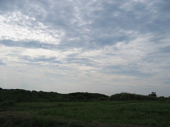 2012/07/15_落下傘