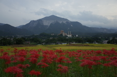 2015/09/21_寺坂棚田の彼岸花と武甲山