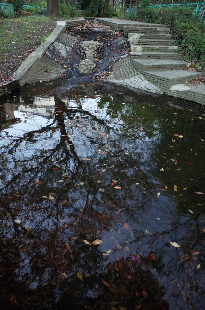2014/11/15_鴨川みずべの里