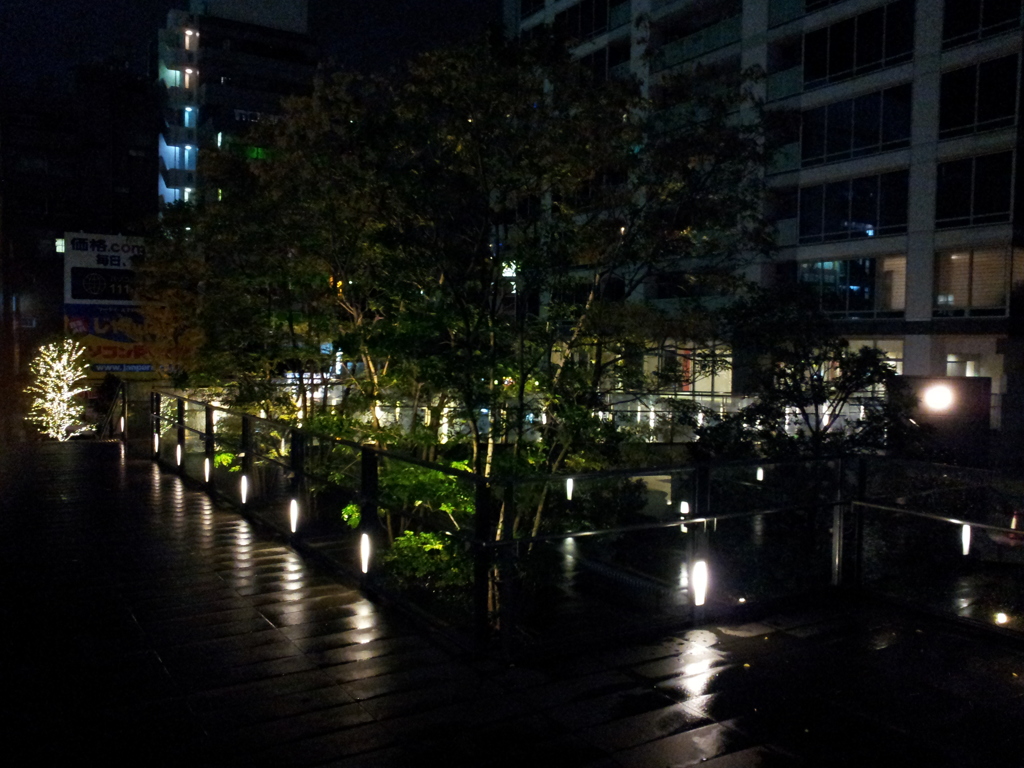 2014/11/26_夜、雨上がりの秋葉原