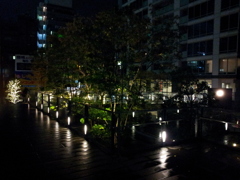 2014/11/26_夜、雨上がりの秋葉原