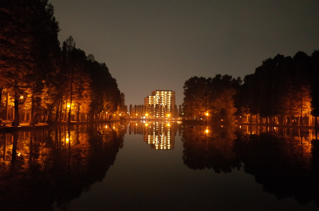 2014/11/02_夜の別所沼公園