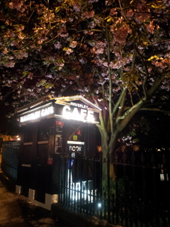 2016/05/21_夜、八重桜の下のWaverley Cafe