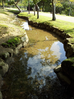 2016/10/18_奈良公園 浅茅ヶ原園地 川股亭の川に空