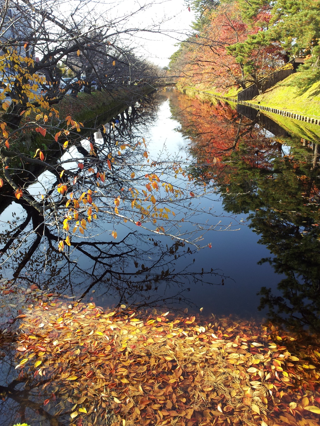 2016/11/14_弘前公園 外濠