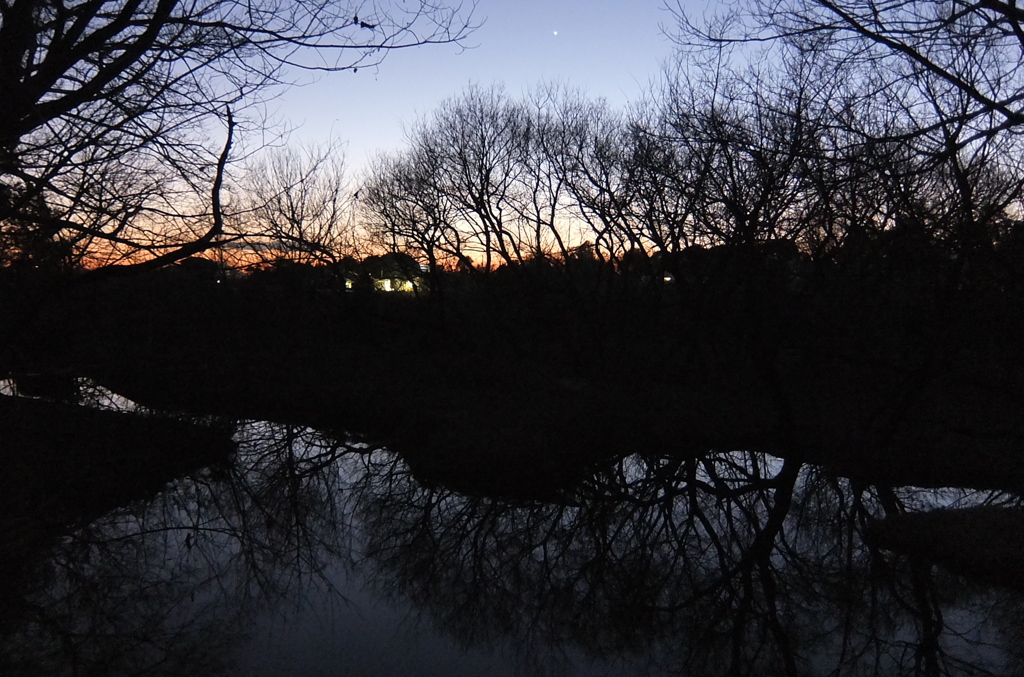 2015/02/14_夕暮れの秋葉の森総合公園