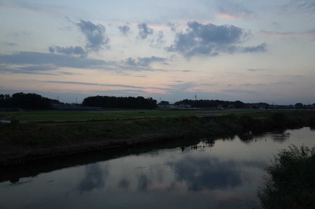 2014/10/19_元荒川の夕暮れ