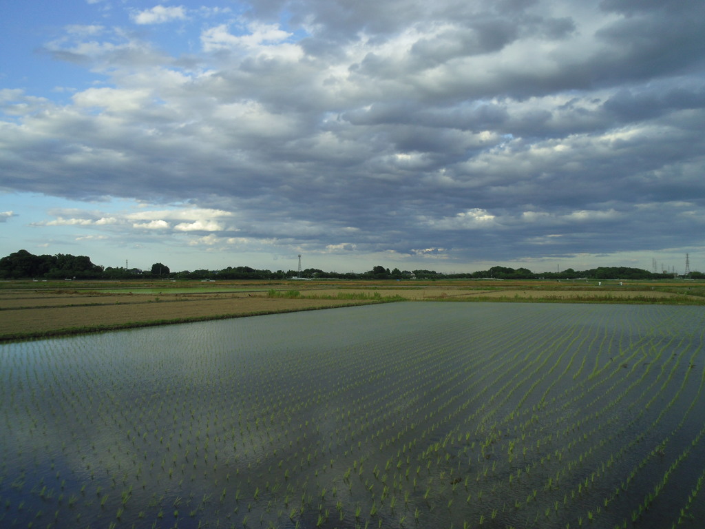 2017/06/04_水田に雲