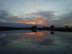 2016/10/30_溜め池の夕暮れ