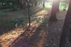 2015/05/24_夕暮れのゴルフ場