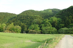 2014/05/04_山の麓の神社