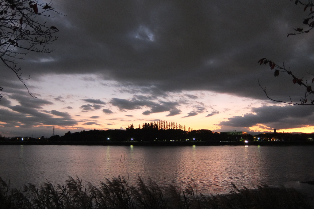 2014/11/03_伊佐沼の夕暮れ