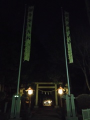 2016/12/31_大晦日の夜の小室氷川神社