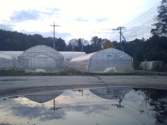 2015/11/29_水たまりに空