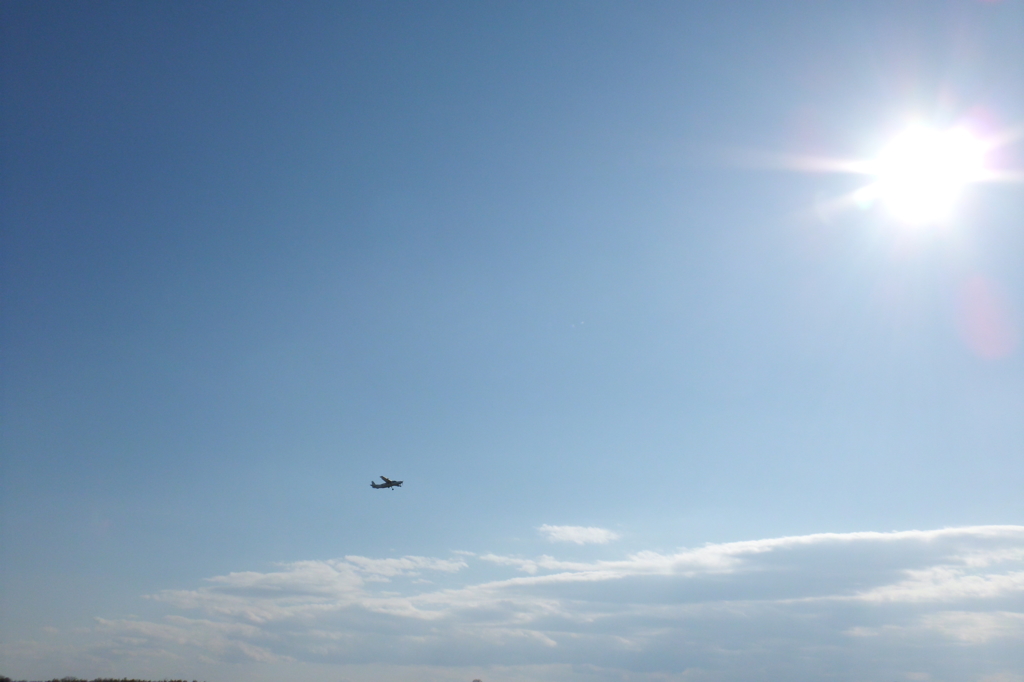 2014/03/15_飛行機