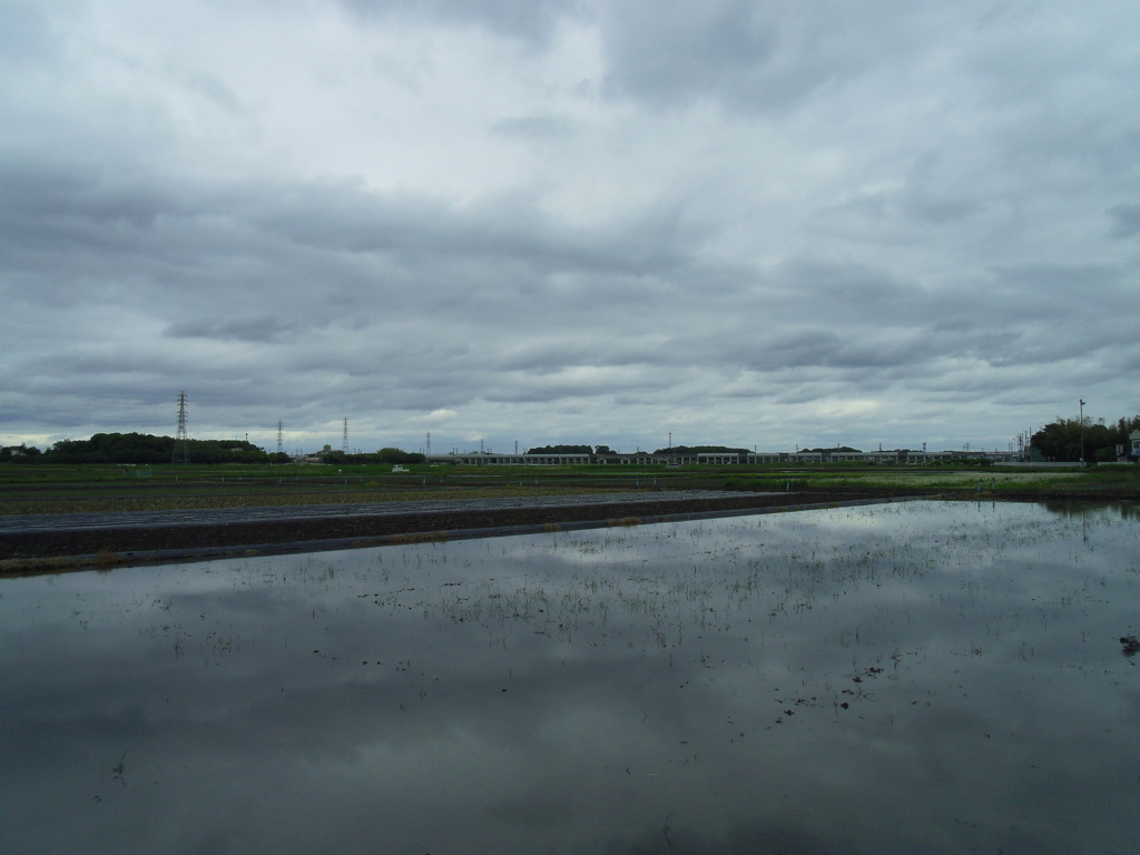2017/05/14_水田の曇天