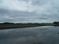 2017/05/14_水田の曇天