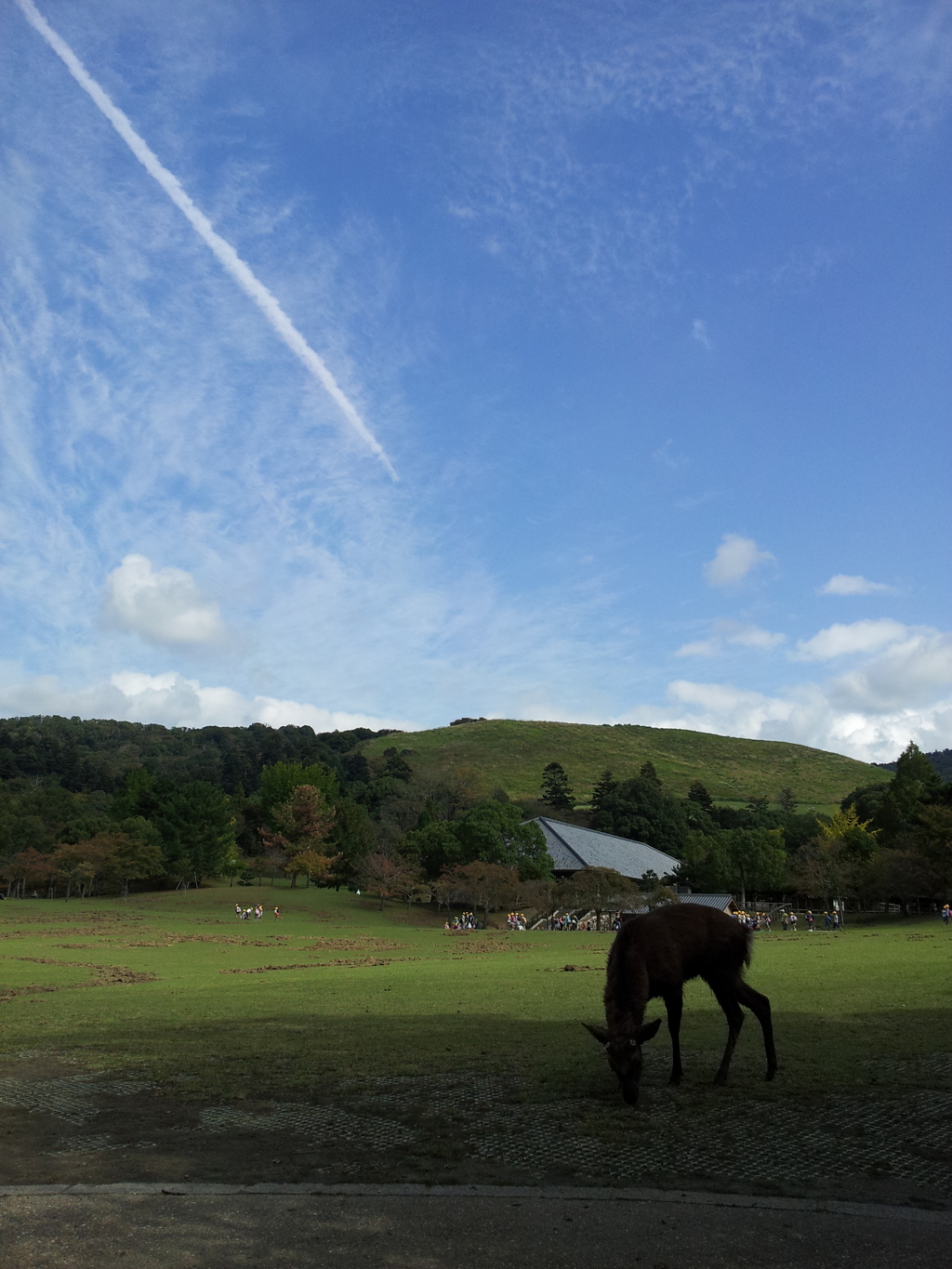 2016/10/18_奈良公園 春日野園地と若草山に飛行機雲