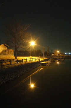 2015/01/24_夜の弁天沼