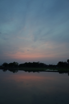2016/05/01_水田の夕暮れ