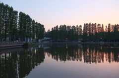 2014/05/31_夕暮れの別所沼公園