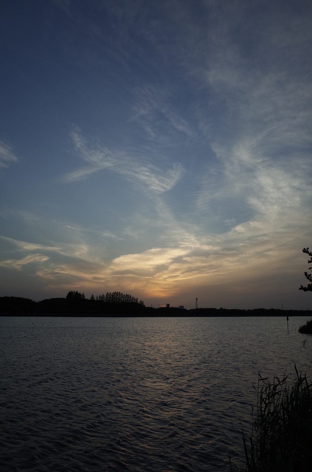 2016/05/07_伊佐沼の夕暮れ