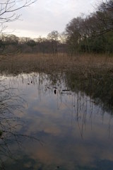 2016/03/26_北本自然観察公園