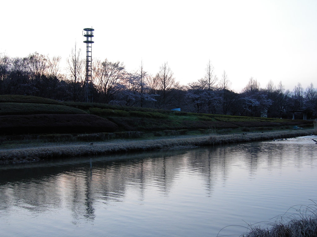 2017/04/02_花の丘農林公苑の夕暮れ