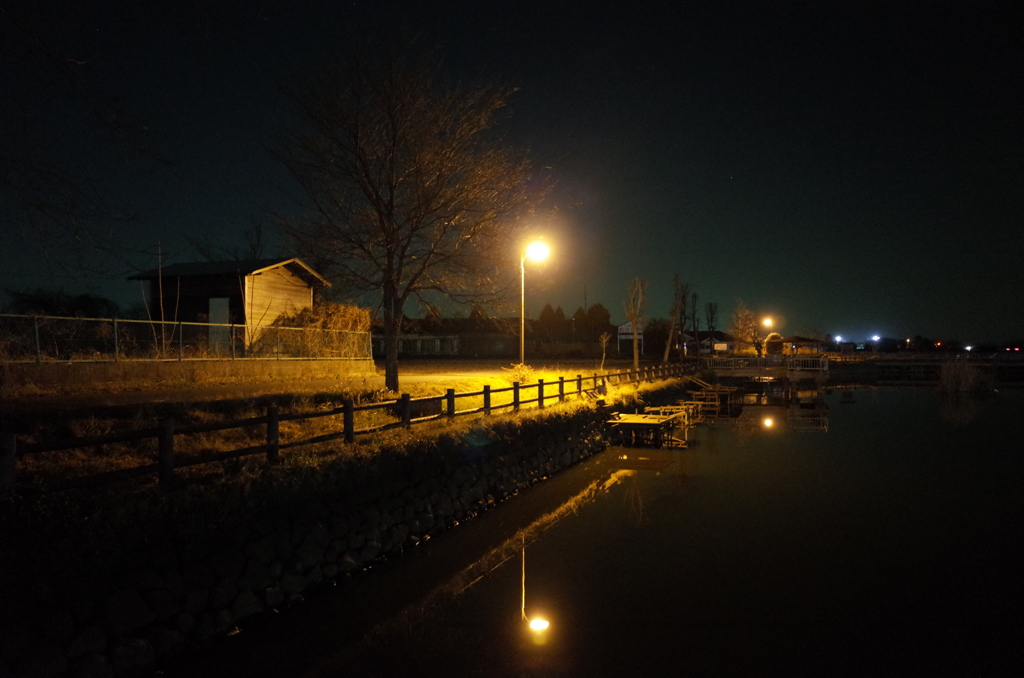 2015/01/24_夜の弁天沼