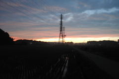 2015/06/27_水田の夕暮れ