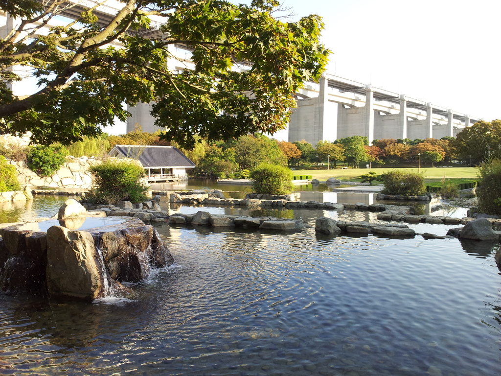 2017/10/26_瀬戸大橋記念公園 浜栗林 甲之池