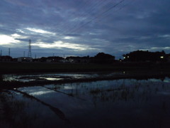 2017/07/01_水田の夕暮れ