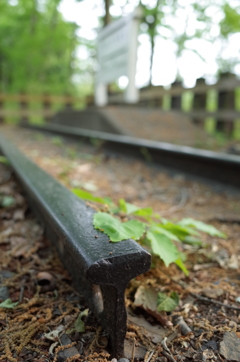 2016/05/01_トロッコ公園 白鳥の停車場