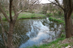 2016/03/26_北本自然観察公園