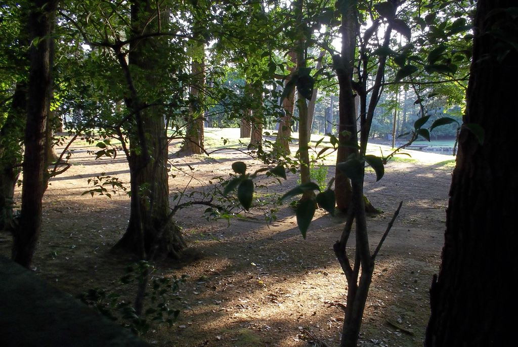 2015/05/24_夕暮れのゴルフ場