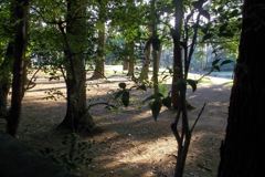 2015/05/24_夕暮れのゴルフ場