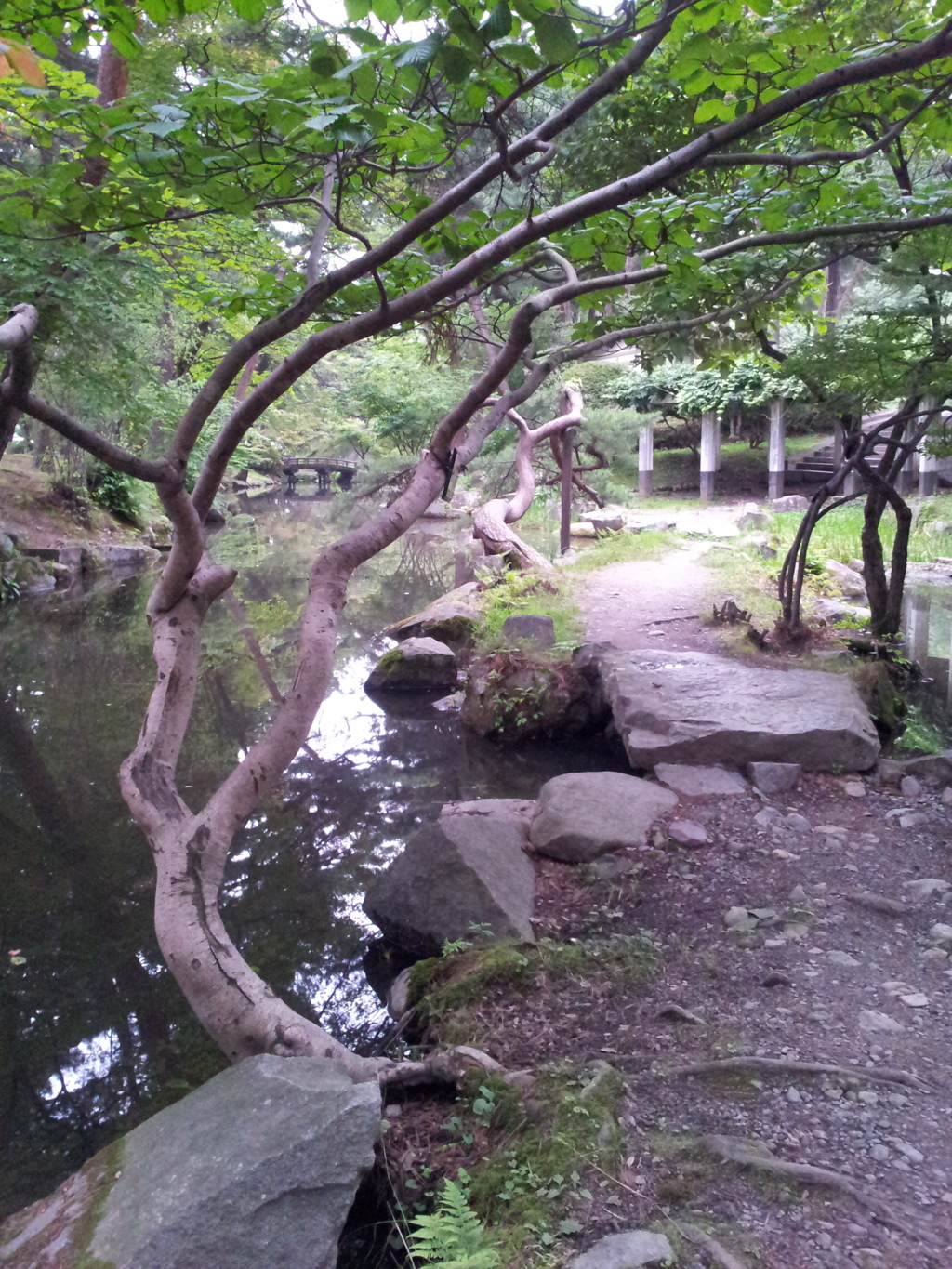 2016/07/16_盛岡城跡公園（岩手公園）鶴ケ池