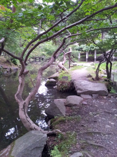 2016/07/16_盛岡城跡公園（岩手公園）鶴ケ池