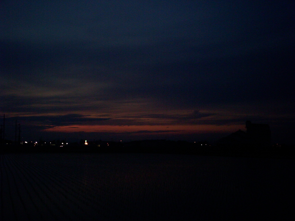 2016/06/11_水田の夕暮れ