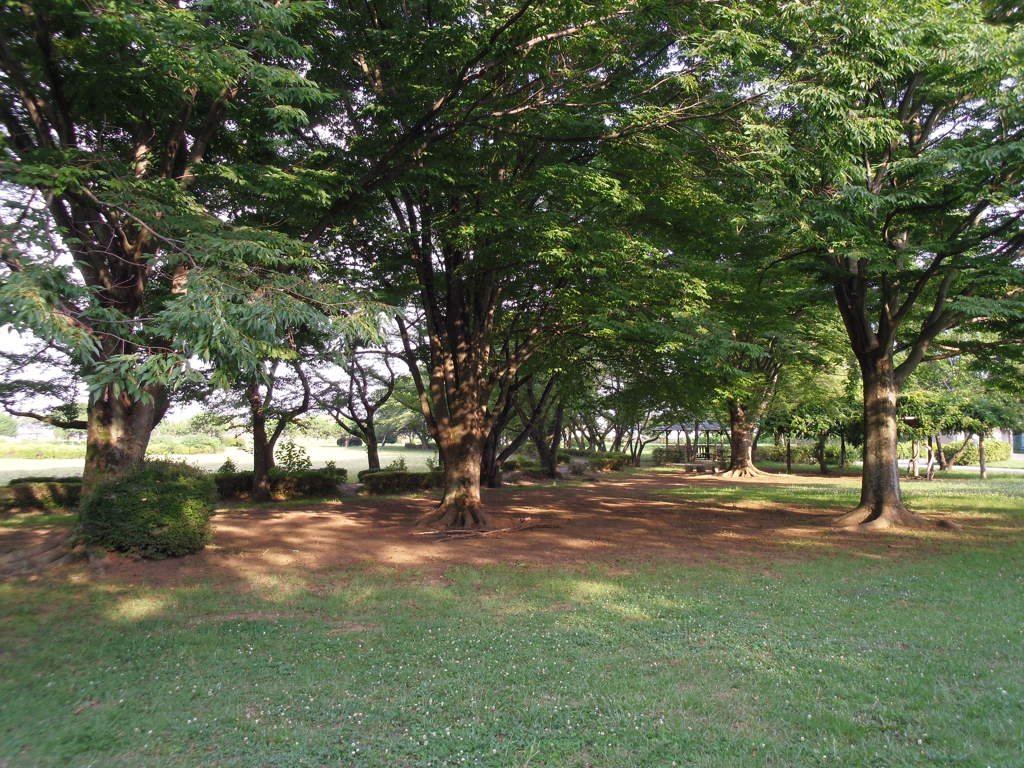 2017/07/09_さきたま古墳公園